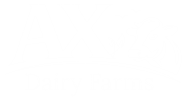 AX Dairy Farm